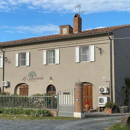 Agriturismo Le Biricoccole Vada Zewnętrze zdjęcie