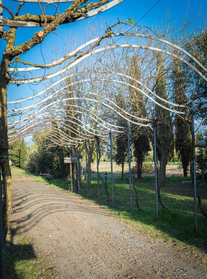 Agriturismo Le Biricoccole Vada Zewnętrze zdjęcie