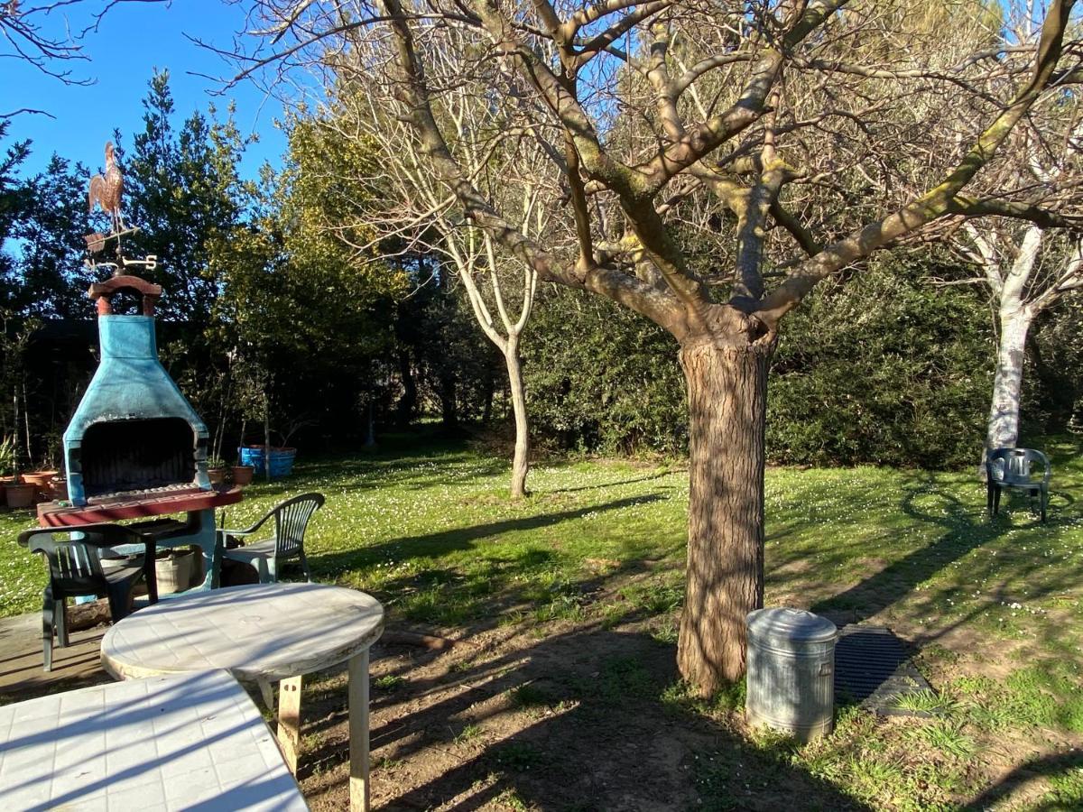 Agriturismo Le Biricoccole Vada Zewnętrze zdjęcie