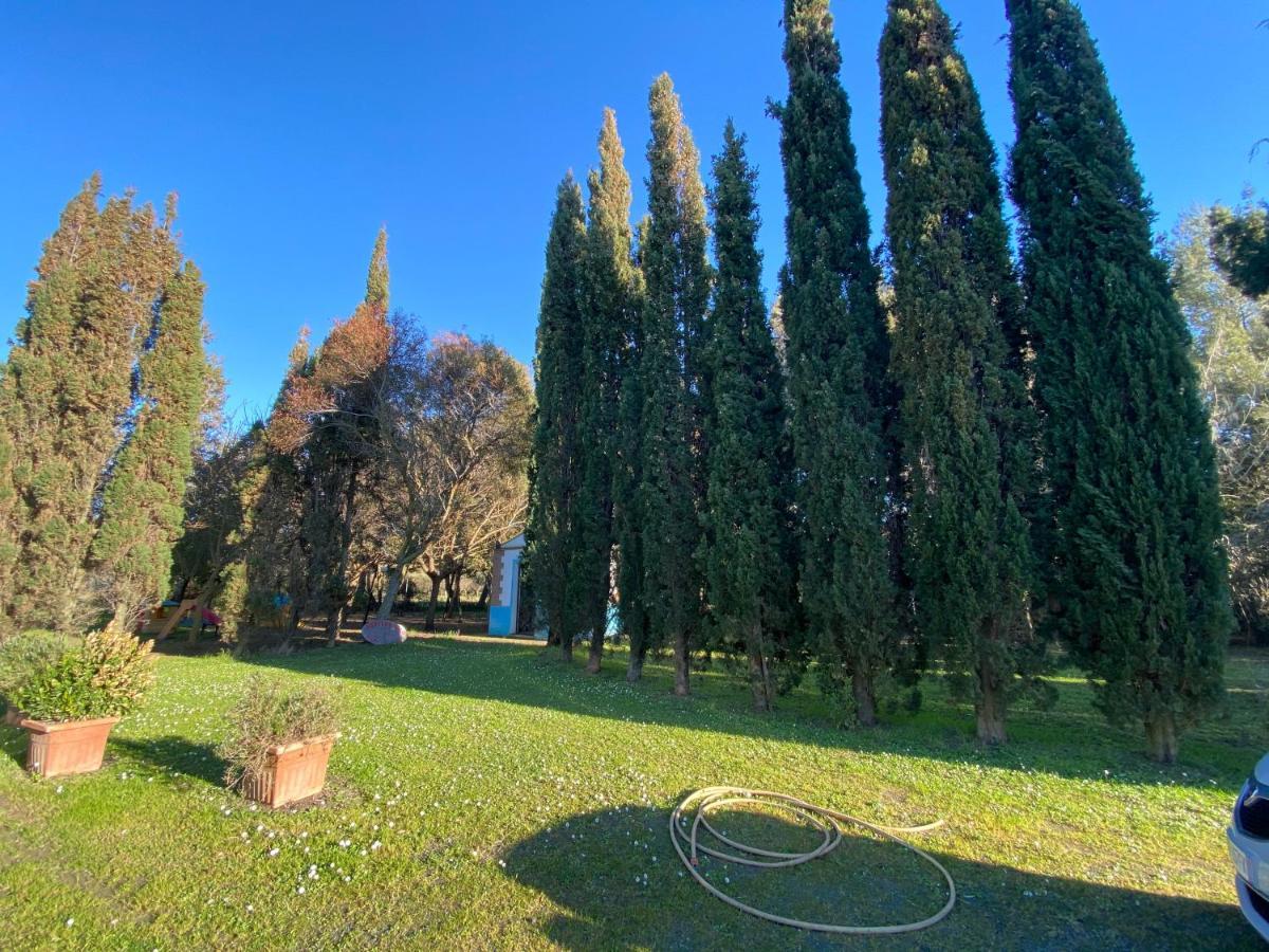 Agriturismo Le Biricoccole Vada Zewnętrze zdjęcie