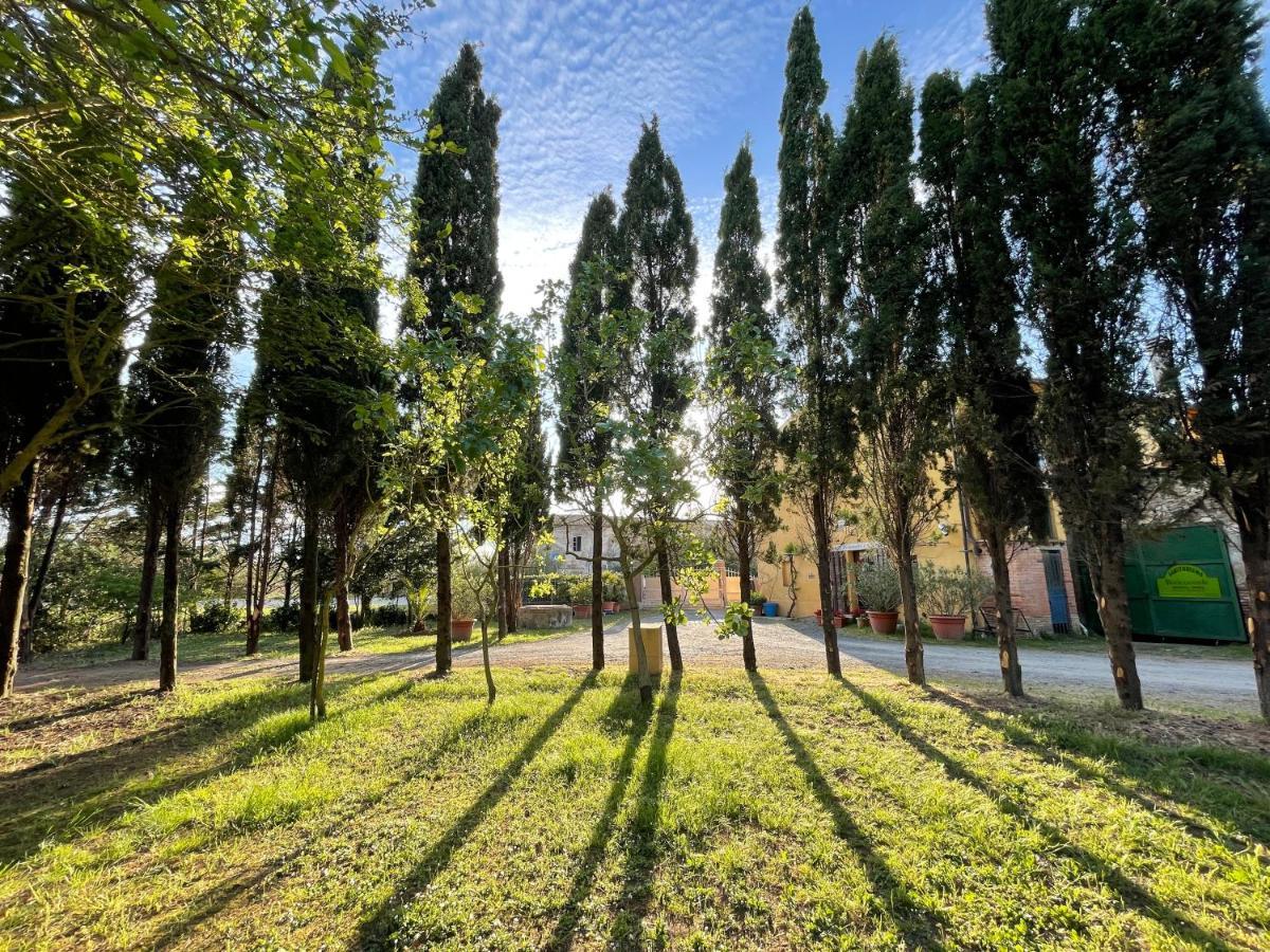 Agriturismo Le Biricoccole Vada Zewnętrze zdjęcie