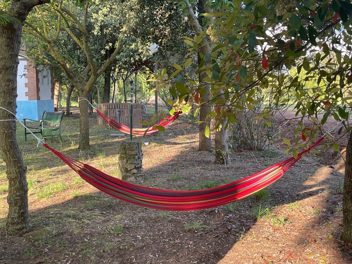 Agriturismo Le Biricoccole Vada Zewnętrze zdjęcie