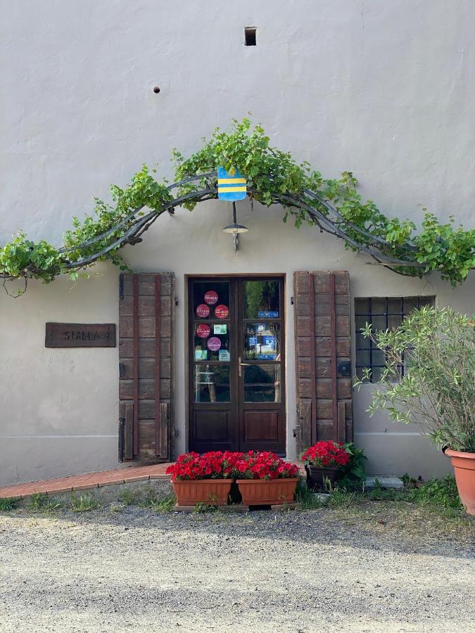 Agriturismo Le Biricoccole Vada Zewnętrze zdjęcie