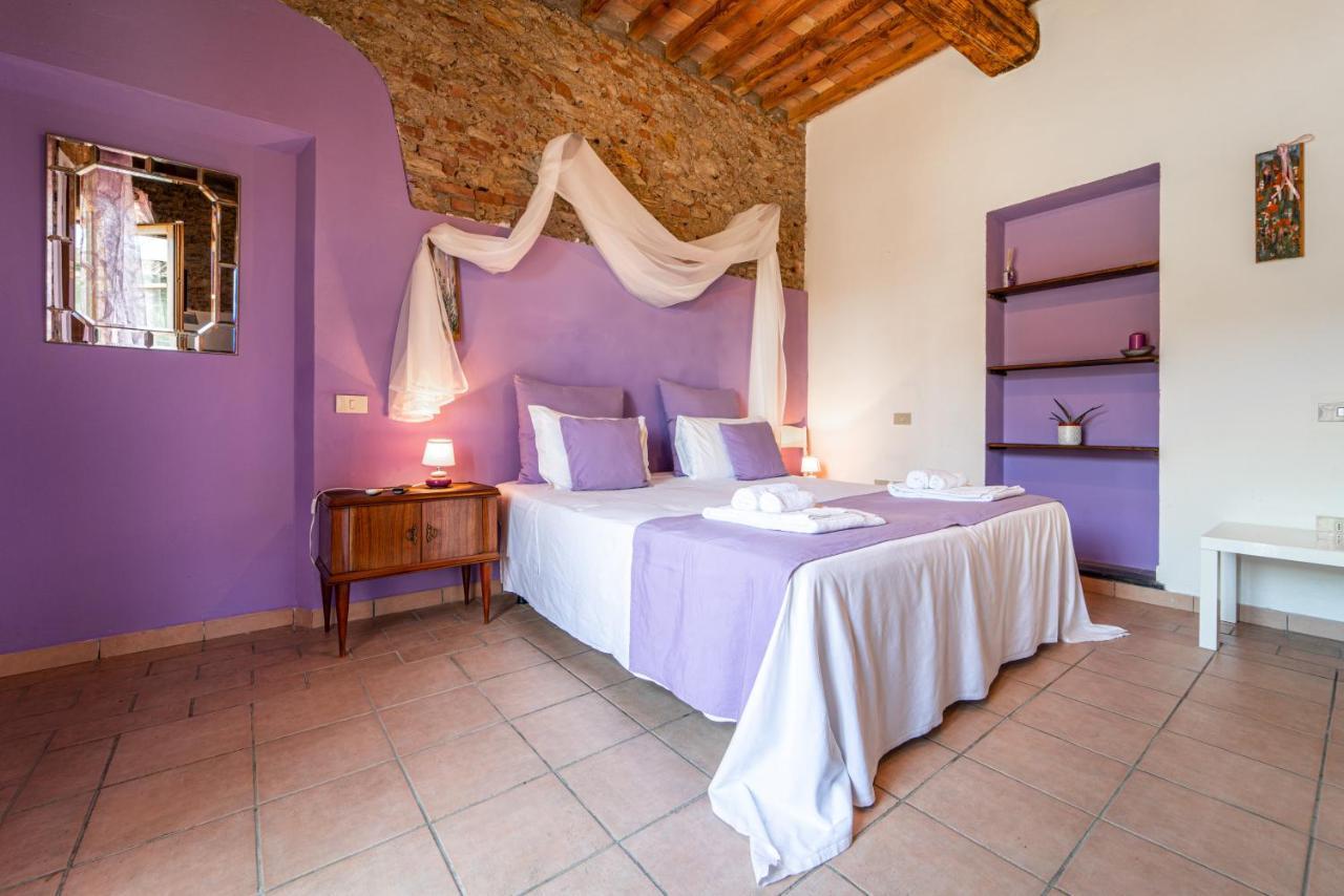 Agriturismo Le Biricoccole Vada Zewnętrze zdjęcie