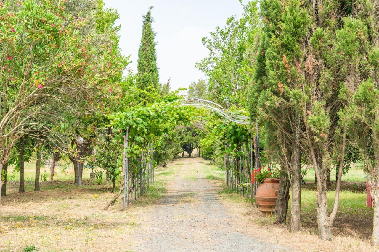 Agriturismo Le Biricoccole Vada Zewnętrze zdjęcie