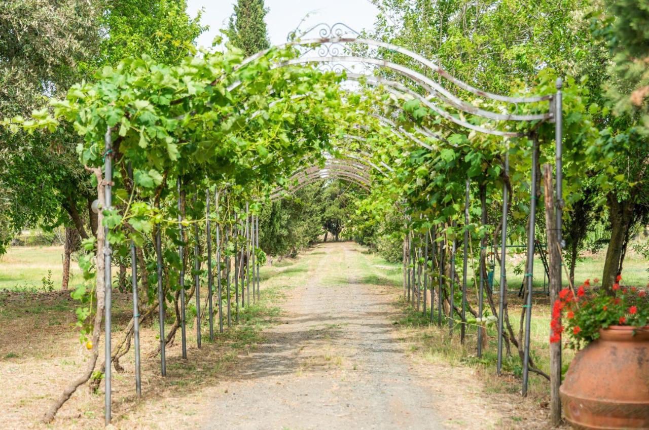 Agriturismo Le Biricoccole Vada Zewnętrze zdjęcie