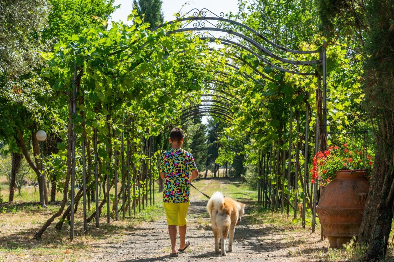 Agriturismo Le Biricoccole Vada Zewnętrze zdjęcie