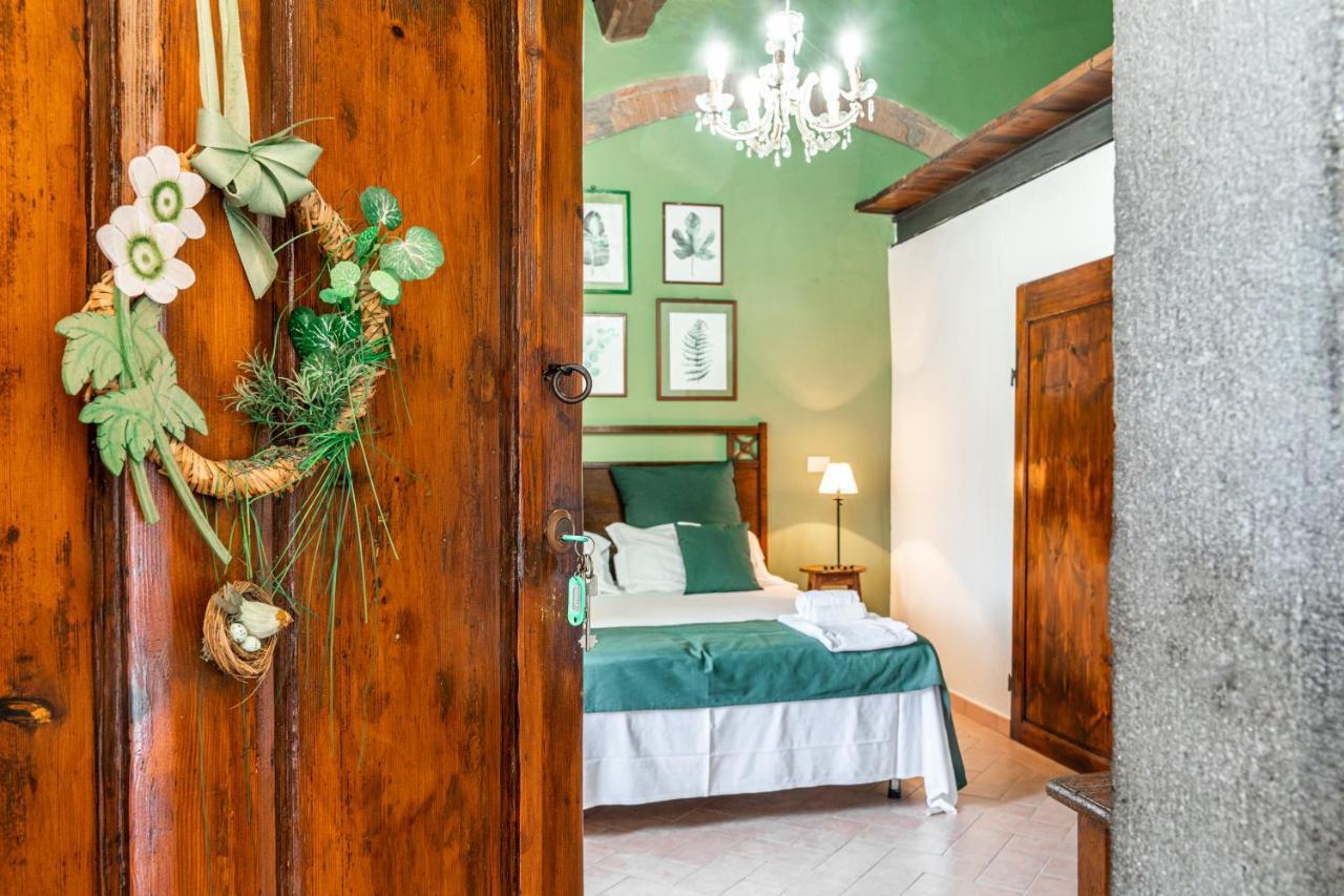 Agriturismo Le Biricoccole Vada Zewnętrze zdjęcie