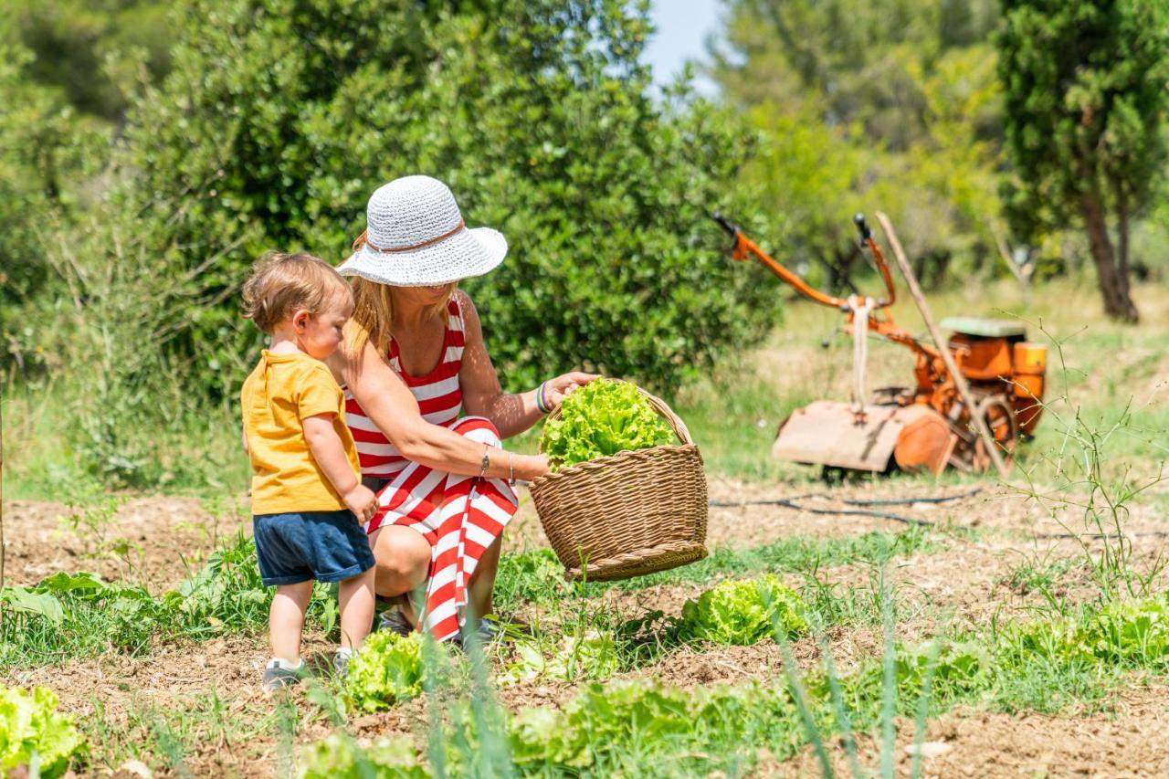 Agriturismo Le Biricoccole Vada Zewnętrze zdjęcie